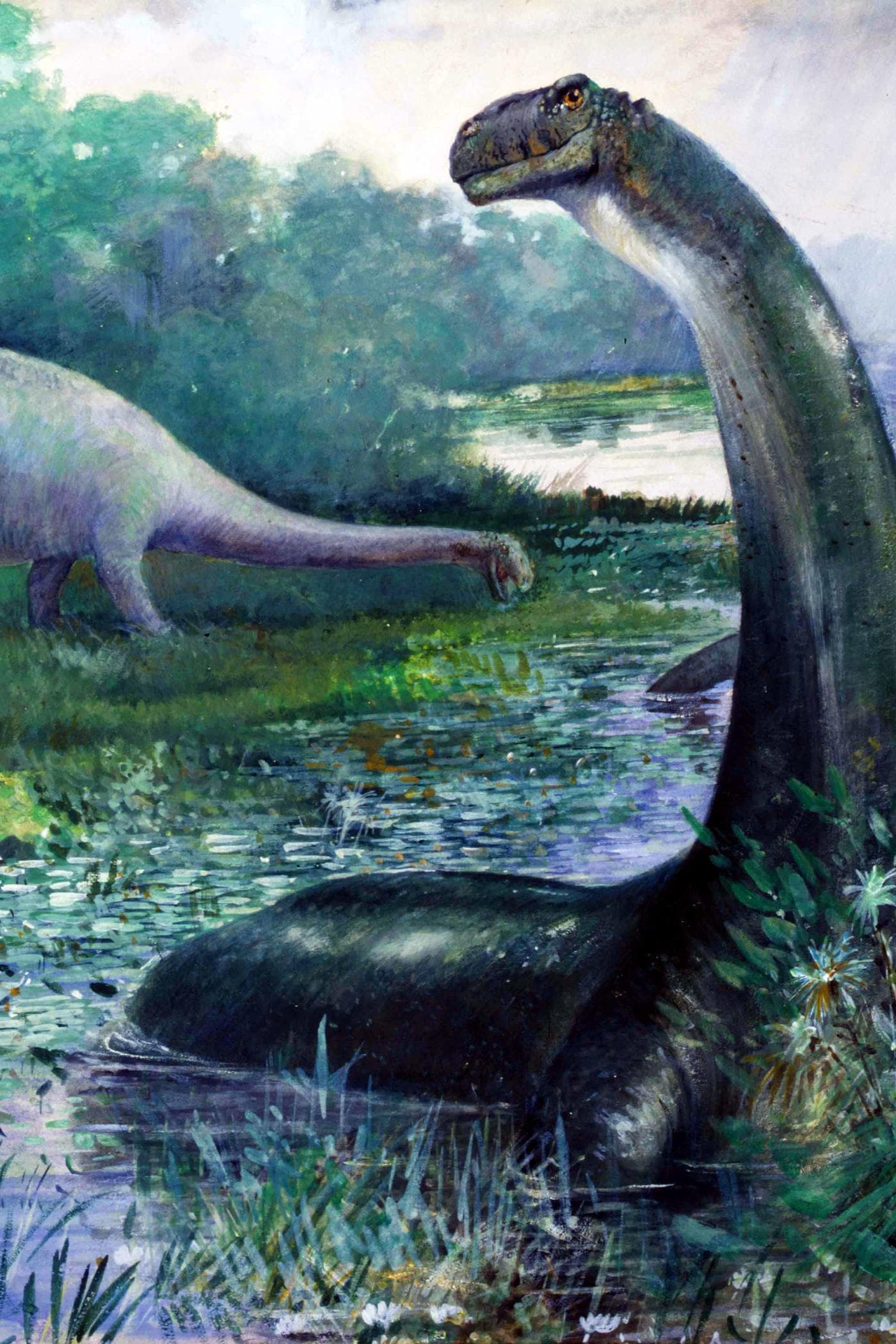 Cover for The Lost World
