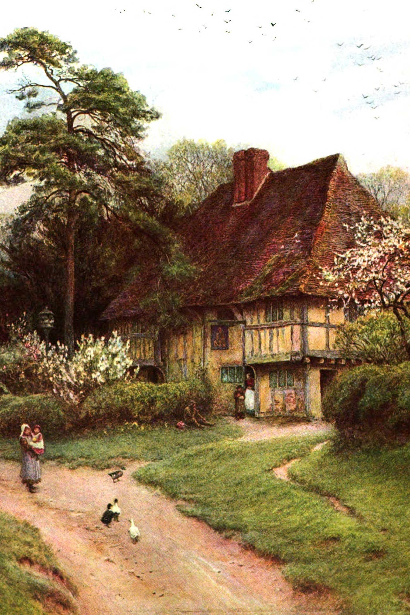 Cover for Cranford