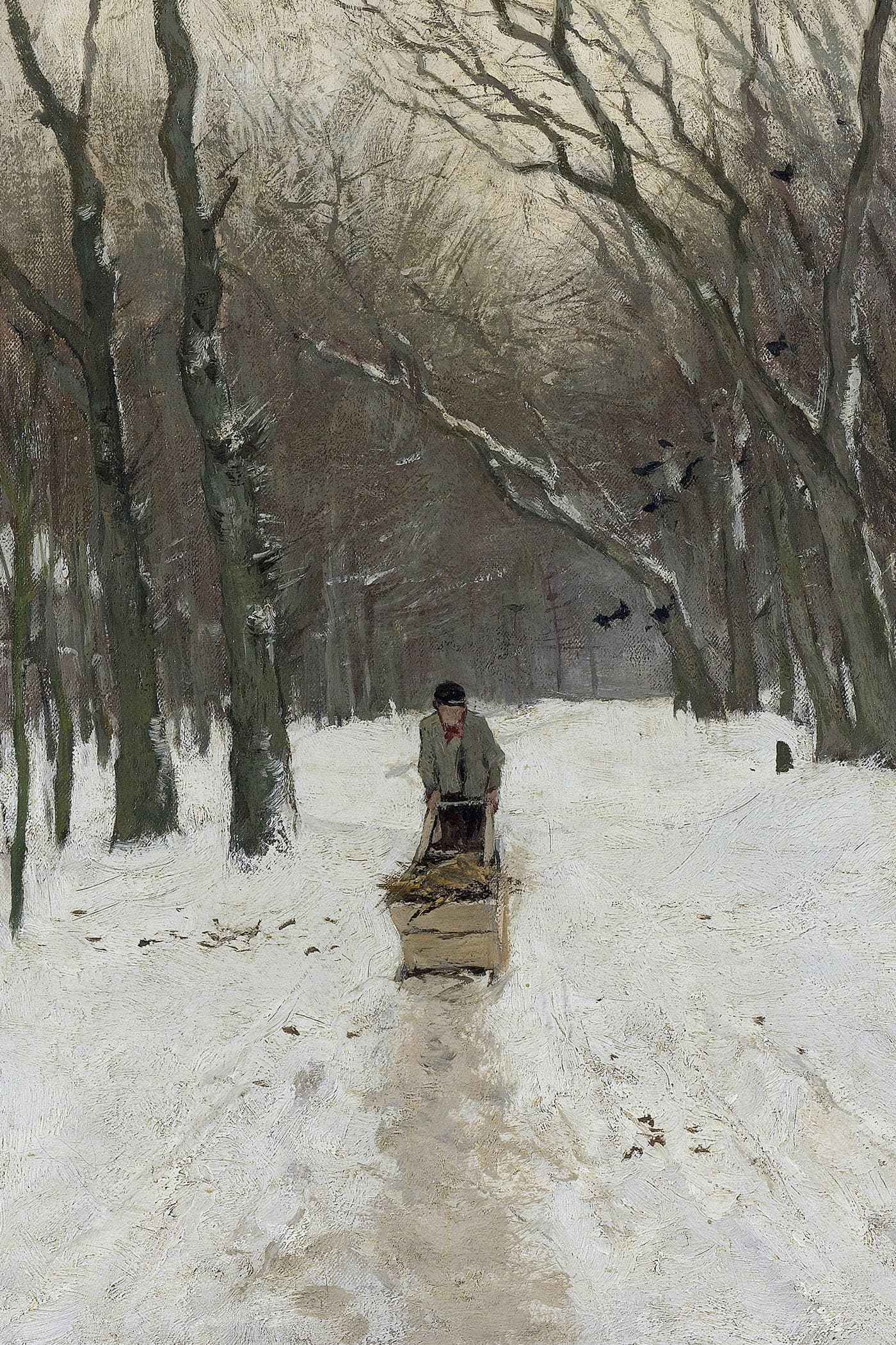 Cover for Tracks in the Snow
