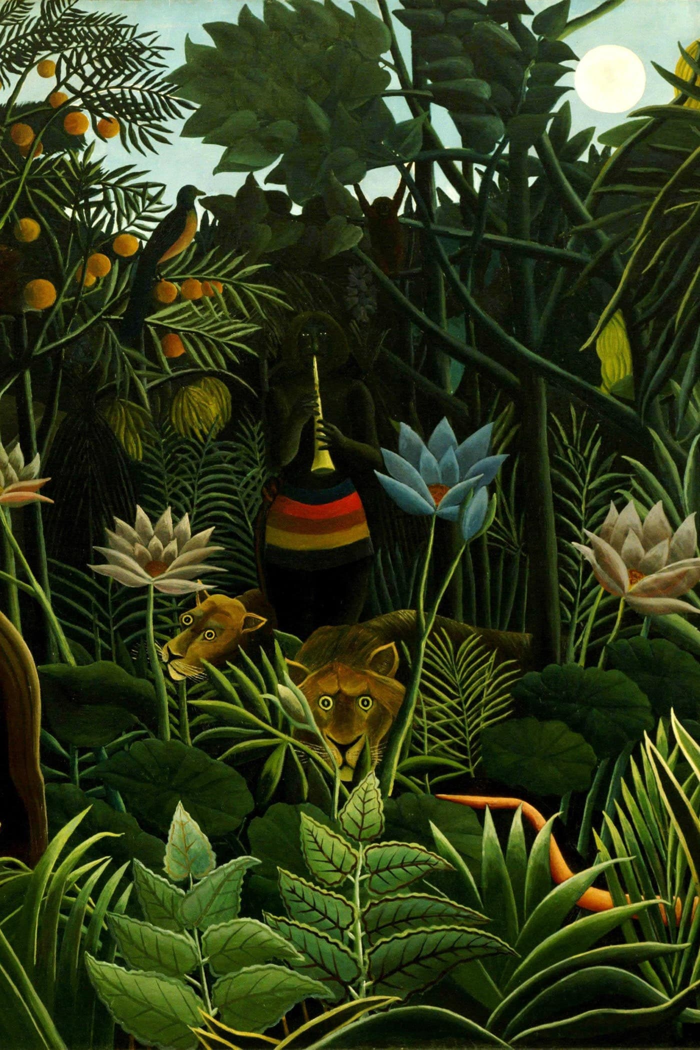 Cover for Indian Fairy Tales