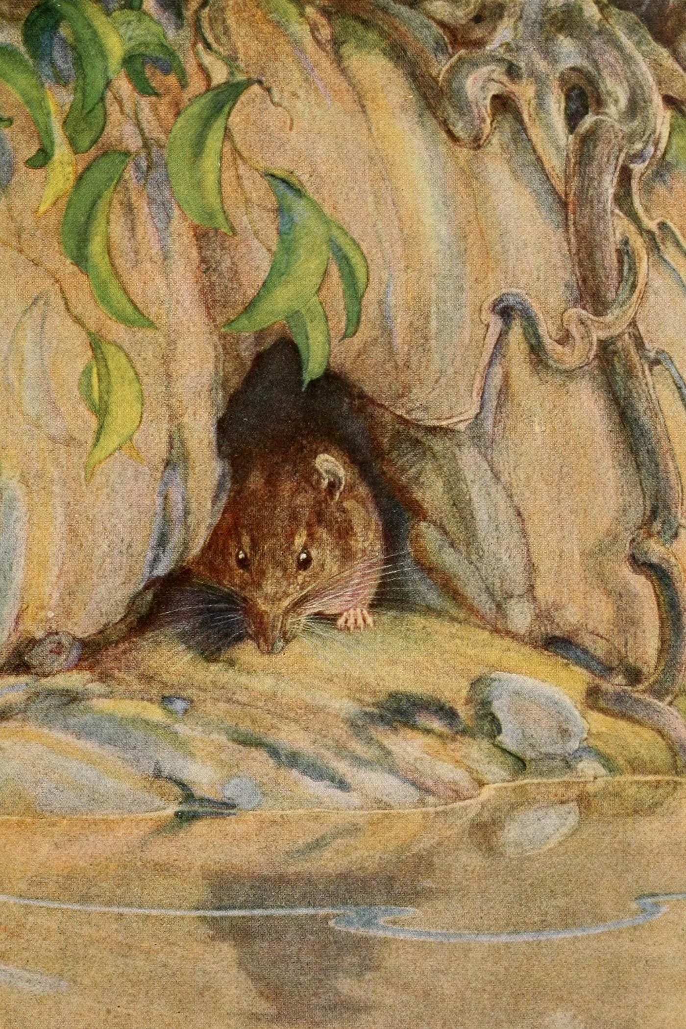 Cover for The Wind in the Willows