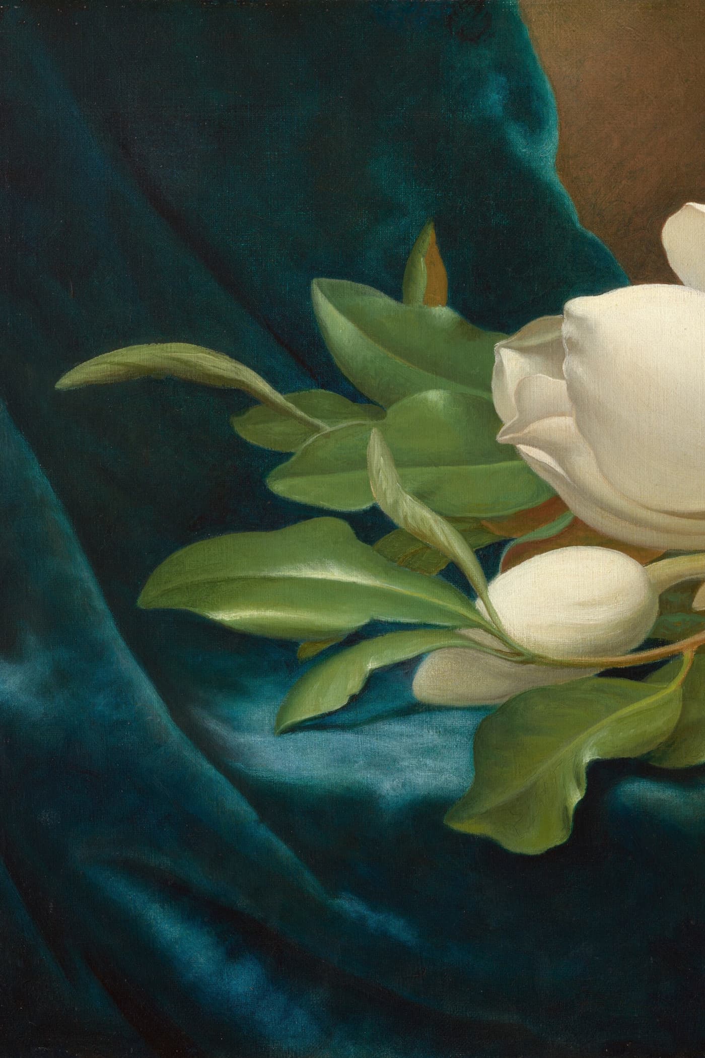 Cover for Magnolia Leaves