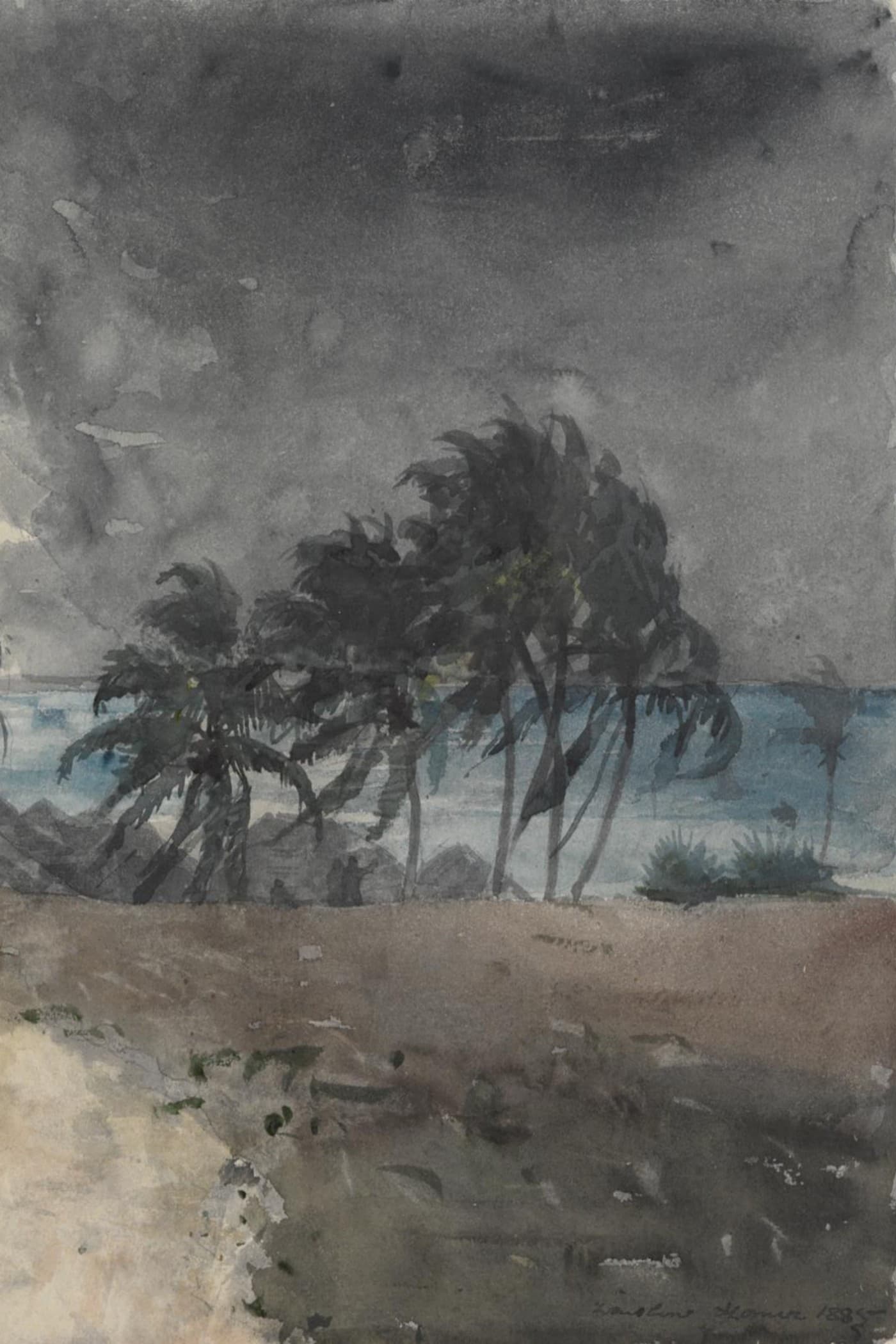 Cover for A High Wind in Jamaica