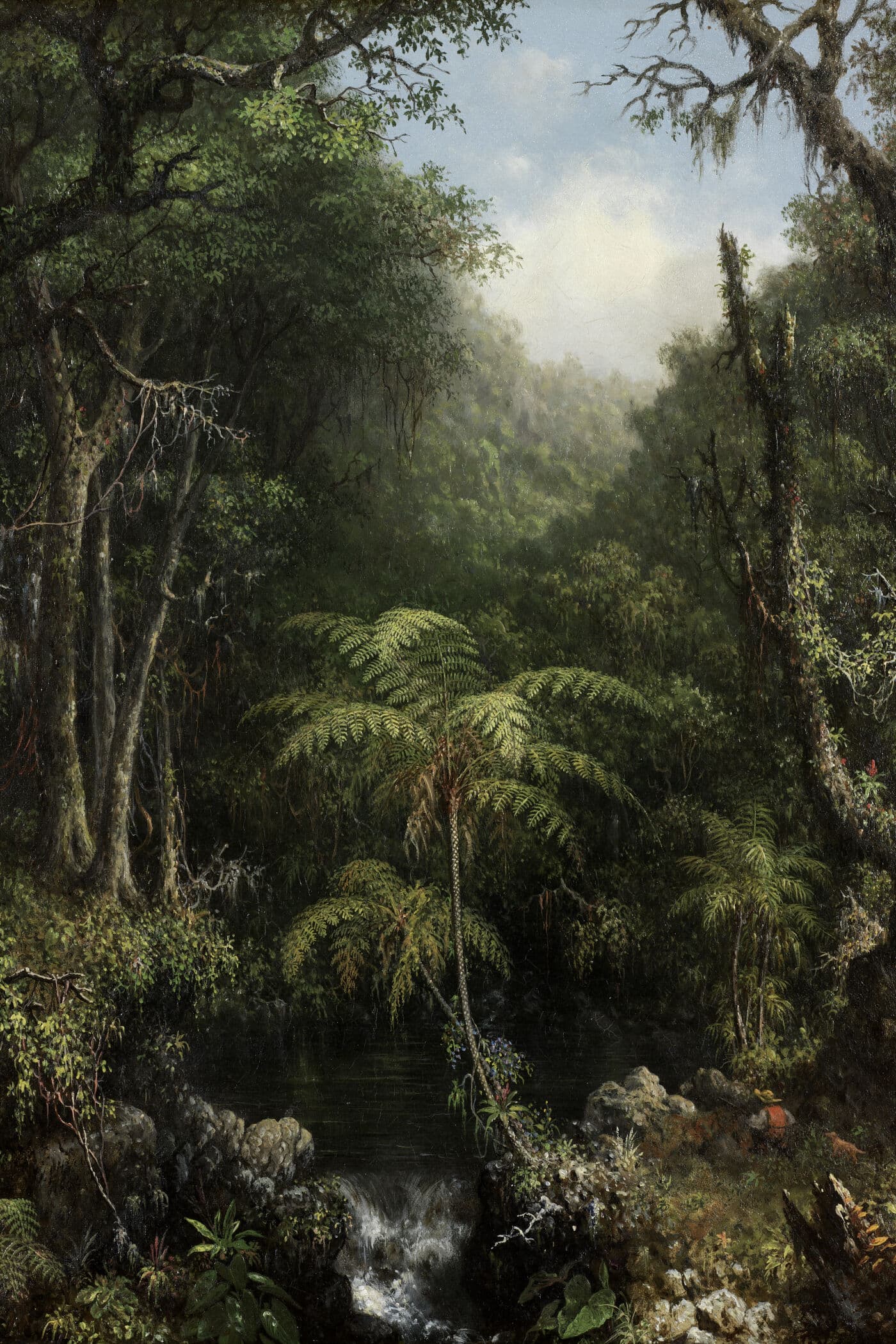 Cover for Through the Brazilian Wilderness